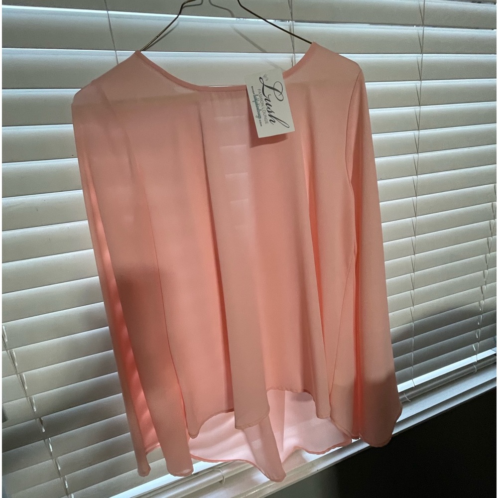 Sheer Petite blouse purchased at “LUSH” Boutique. Dreamy apricot- peach chiffon